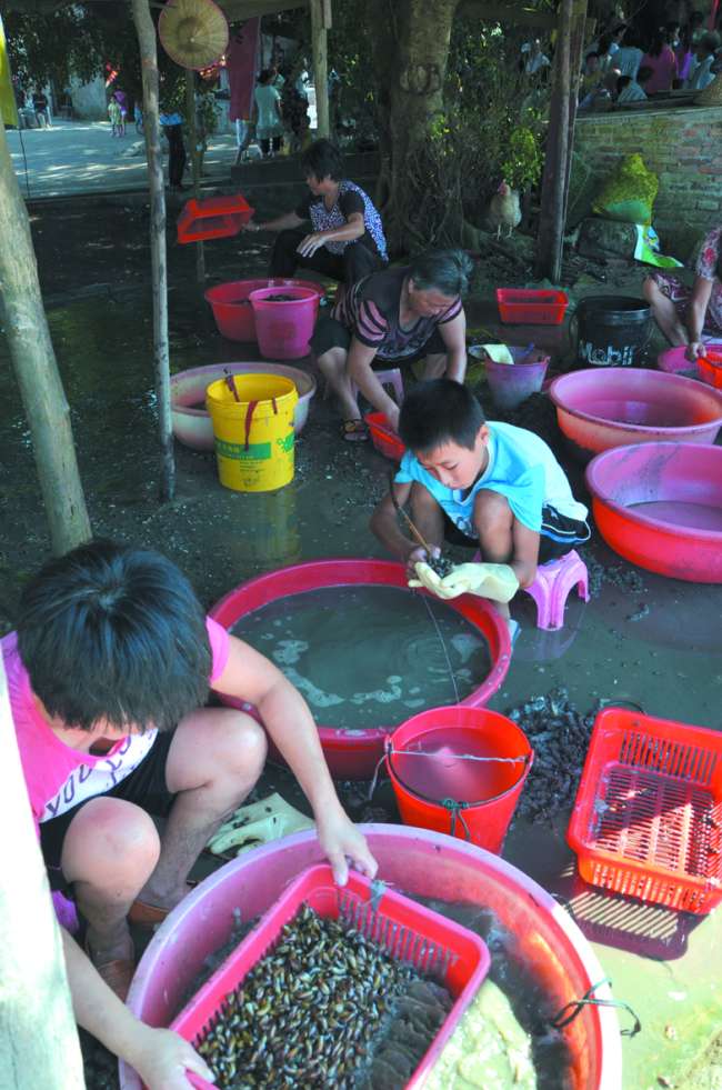 Res 04_attpic _brief