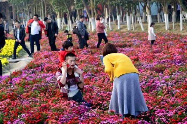 微信圖片_20180222101153