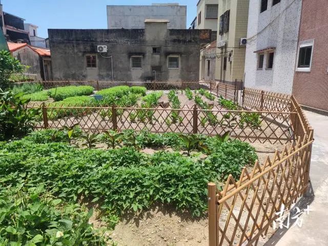 南方+ 余丹 拍攝